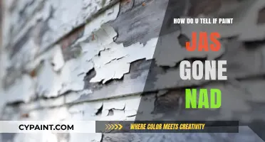 Signs Your Paint Has Gone Bad