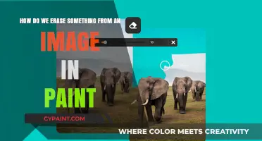 Erasing Objects in Paint: A Step-by-Step Guide to Clean Images