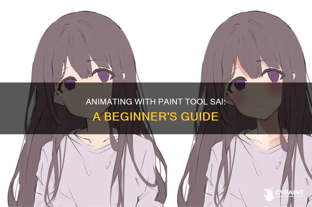 how do you animate in paint tool sai