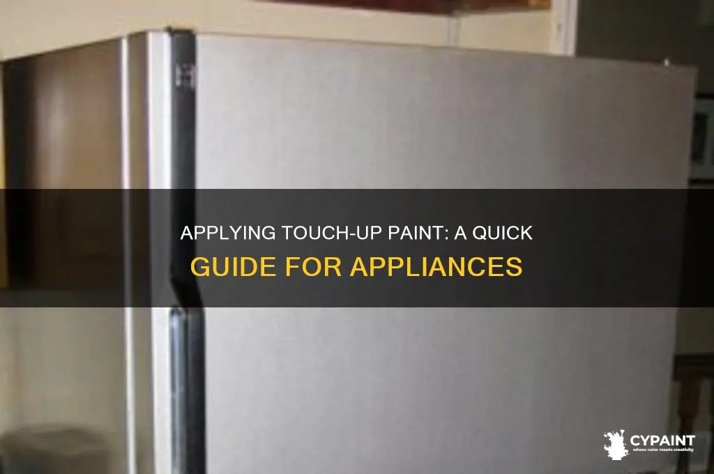 how do you apply appliance touch up paint