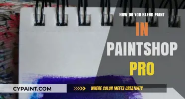 Mastering Paint Blending in PaintShop Pro