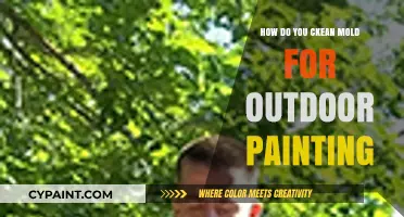 Outdoor Painting Prep: Removing Mold