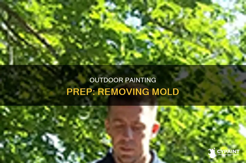 how do you ckean mold for outdoor painting