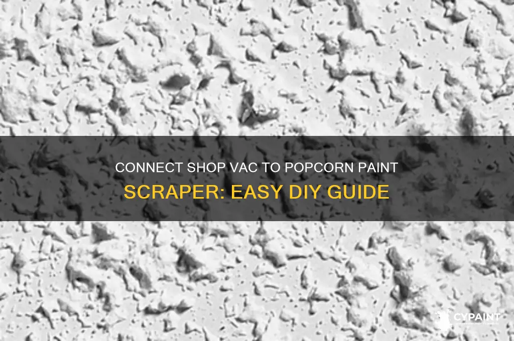 how do you connect shop vac to popcorn paint scraper