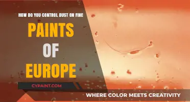 Mastering Dust Control on Europe's Fine Paint Finishes