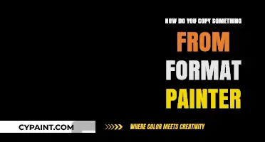 Mastering the Art of Copying with Format Painter