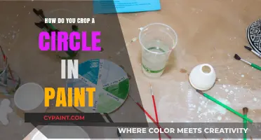 Cropping Circles in Paint: A Step-by-Step Guide