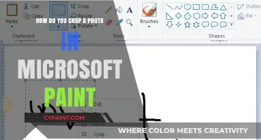 Cropping Photos in Microsoft Paint: A Step-by-Step Guide