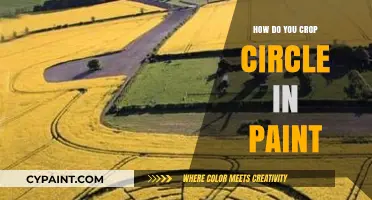 Mastering Crop Circles: A Simple Guide Using MS Paint