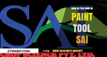 Cropping Mastery in Paint Tool Sai: A Step-by-Step Guide