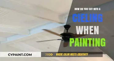 Cutting into a Ceiling: A Guide for Painting