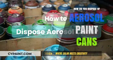 Eco-Friendly Disposal: A Guide for Aerosol Paint Cans
