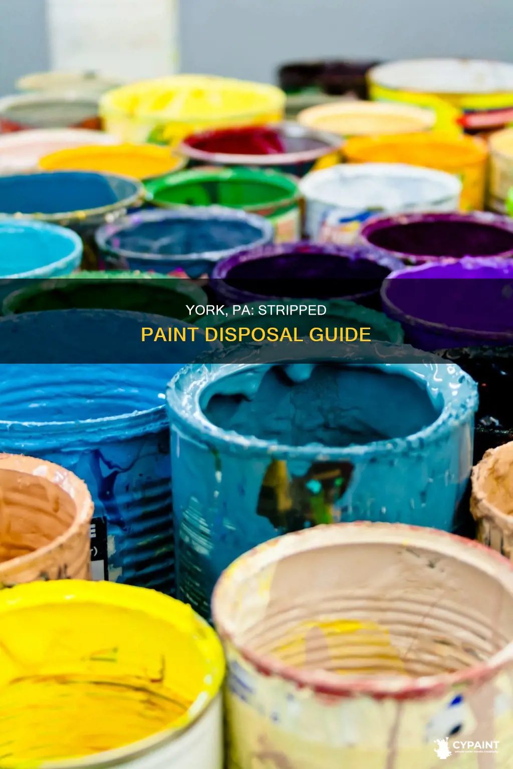 how do you dispose of stripped paint york pa