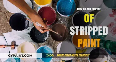 Eco-Friendly Ways to Dispose of Stripped Paint Safely and Responsibly