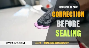 Paint Correction: Perfecting Your Car's Finish Before Sealing