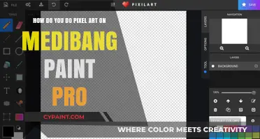 Mastering Pixel Art: A Medibang Paint Pro Step-by-Step Guide