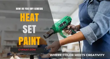 Quick-Drying Genesis Heat Set Paint: Tips and Tricks