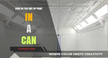 Revive Paint: Drying Methods to Salvage Your Paint Cans