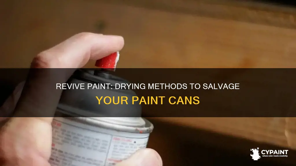 how do you dry up paint in a can