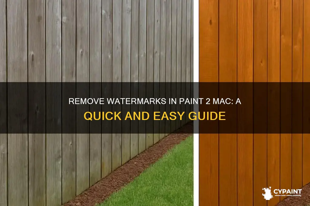 how do you eliminate watermarks on paint 2 mac application