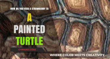 Feeding Strawberries to Painted Turtles: A Safe and Healthy Guide
