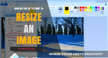 Resize Images Easily: A Step-by-Step Guide Using Paint
