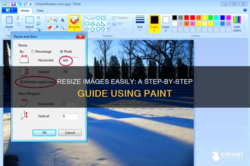 how do you go to paint to resize an image
