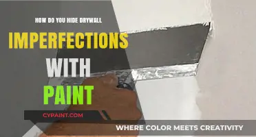 Camouflaging Drywall Imperfections: Painting Tips and Tricks