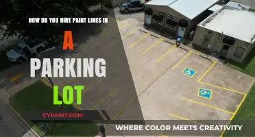 Hiring Paint Line Services for Parking Lot Striping: A Complete Guide