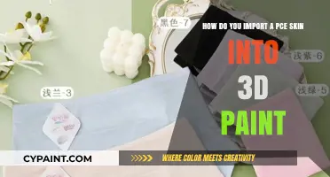 Importing PCE Skins into 3D Paint: A Step-by-Step Guide