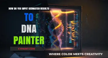 Using Gedmatch Results with DNA Painter: A Guide