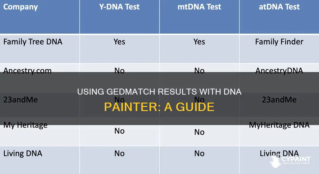 how do you input gedmatch results to dna painter