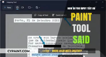 Guide to Typing Text in Paint Tool Sai