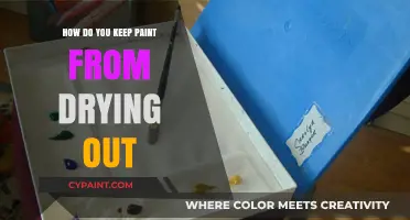Keep Paint Fresh: Tips to Prevent Drying