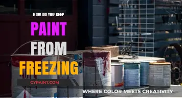 Prevent Paint Freezing: Essential Tips for Cold Weather Storage and Use