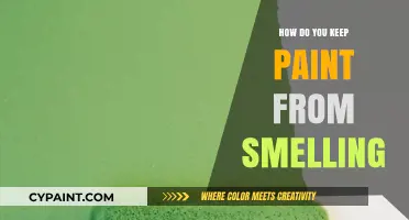 Eliminate Paint Odor: Tips to Keep Your Space Smelling Fresh