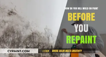 Effective Mold Removal: Prepping Painted Surfaces for a Fresh Coat
