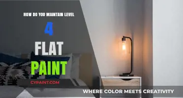 Easy Tips to Maintain Flat Paint Finishes