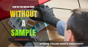 Matching Paint: Sample-Free Techniques for Perfect Color Harmony