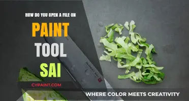 Opening Files in Paint Tool SAI: A Quick Step-by-Step Guide