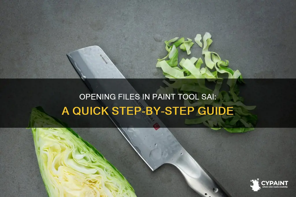 how do you open a file on paint tool sai