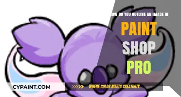 Mastering Image Outlining in Paint Shop Pro: A Step-by-Step Guide