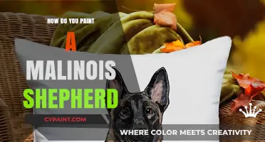 Mastering the Art of Painting a Striking Malinois Shepherd Portrait