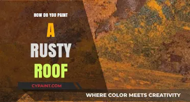 Revive Your Rusty Roof: A Step-by-Step Painting Guide