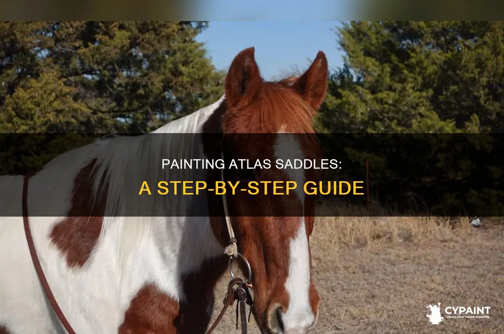 how do you paint a saddles in atlas