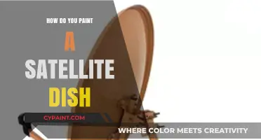 DIY Guide: Painting Your Satellite Dish for a Fresh Look