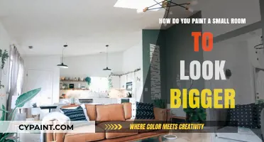 Maximize Space: Painting Techniques to Make Small Rooms Appear Larger
