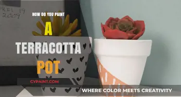 Creative Steps to Paint a Terracotta Pot for Garden Decor
