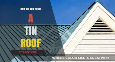 Step-by-Step Guide to Painting Your Tin Roof Like a Pro