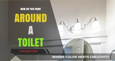 Mastering Bathroom Painting: Tips for Painting Around a Toilet